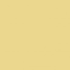 Protek Royal Exterior Paint 5 Litres - Lemon Yellow Colour Sample Swatch