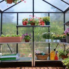 8 x 8 Palram Glory Greenhouse in Anthracite - interior with optional shelving and staging