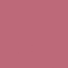 Protek Royal Exterior Paint 2.5 Litres - Fuchsia Pink Colour Sample Swatch