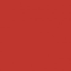 Protek Royal Exterior Paint 125ml - Pillarbox Red Colour Swatch